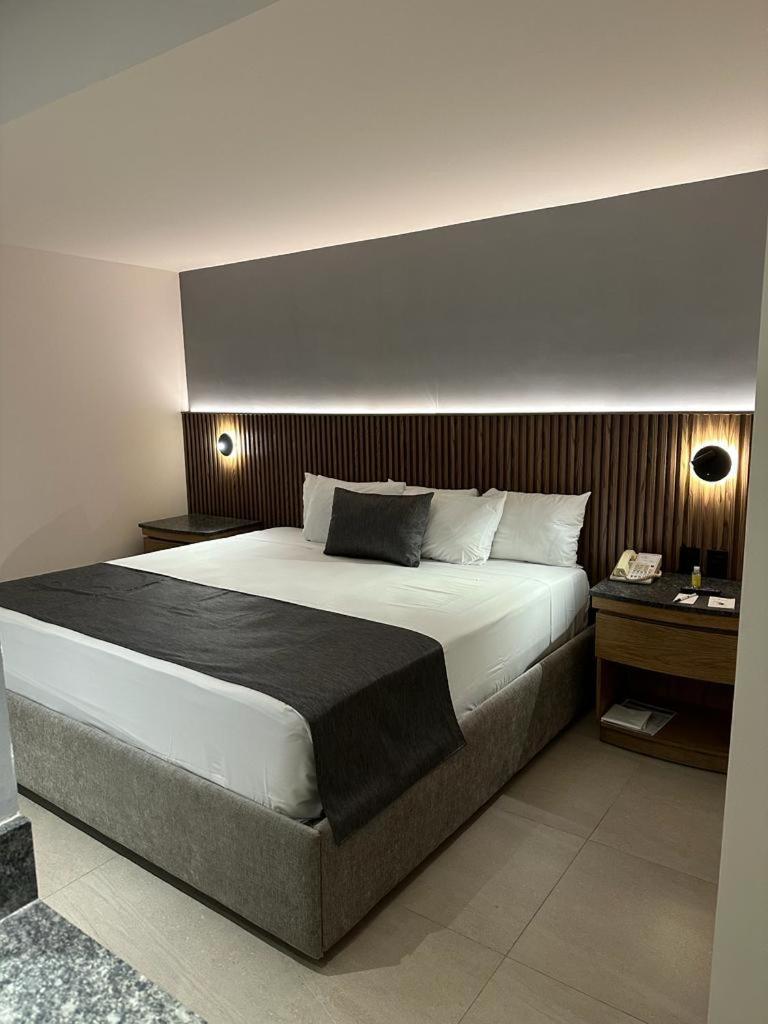 Hotel Guadalajara Plaza Ejecutivo Zapopan Ngoại thất bức ảnh